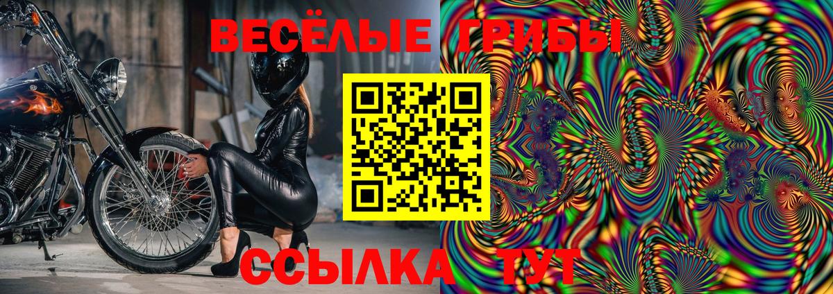 Псилоцибиновые грибы Magic Shrooms  Вход с VPN  Галлюциногенные грибы мицелий  Новоалександровск 